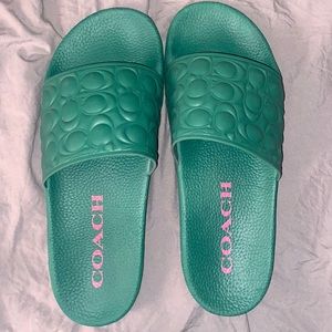 Authentic Green Coach slides